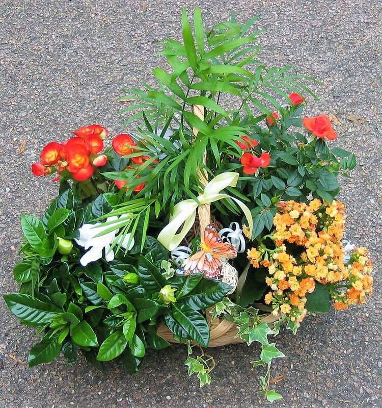 Elisabeth Bemment Floral Design  - Bouquets & Baskets