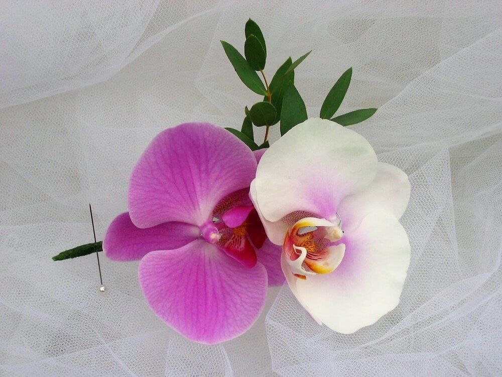 Elisabeth Bemment Floral Design -Button Holes & Corsages