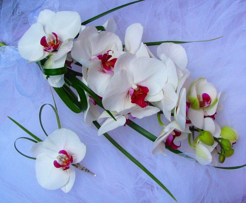 Elisabeth Bemment Floral Design - Bridal Bouquets