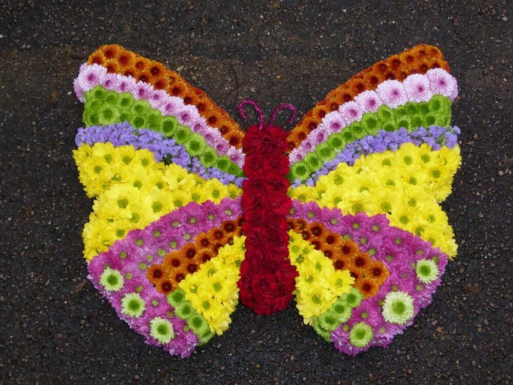 41. Butterfly 24” x 24” brightly decorated