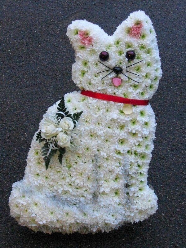 49. 2’6” White Cat with name tag and collar