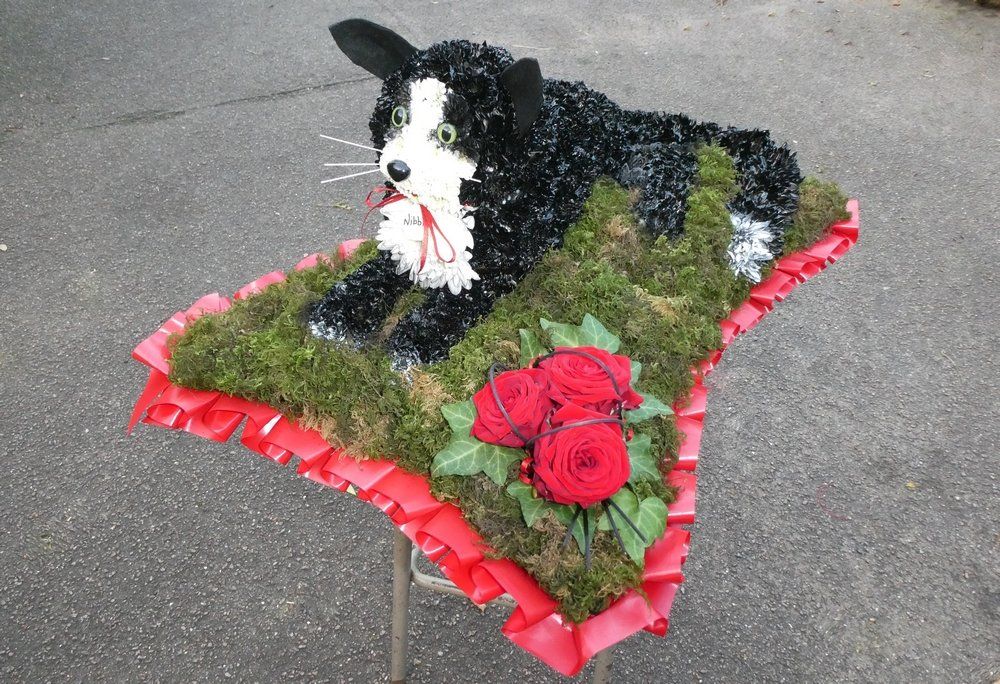 62.  Custom made Cat on a large pillow with Rose posy
