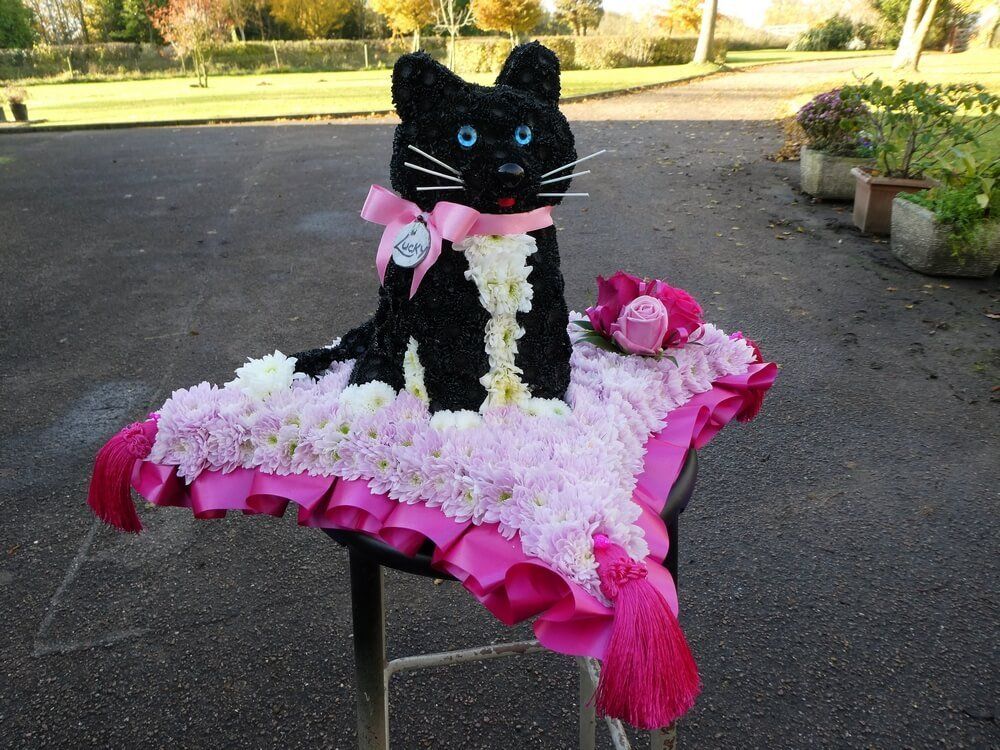 63.  Very special 3D Cat presented on a cushion with her own name tag