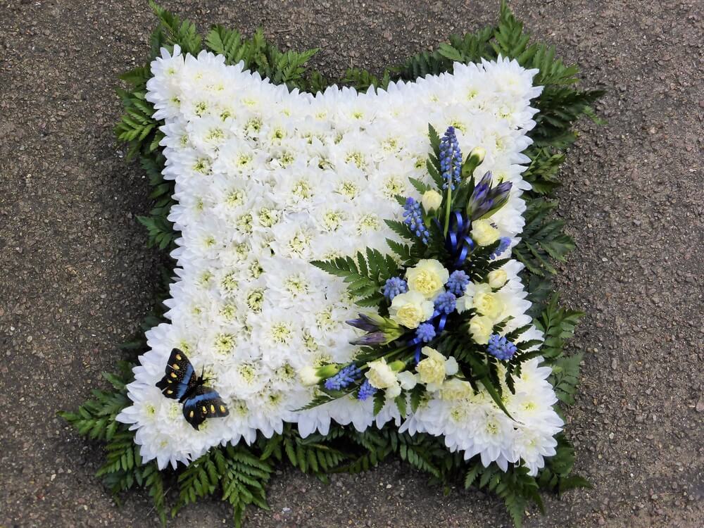 12. 15” white Cushion with foliage edge, posy of cream Dianthus and blue Mascari. A blue feather Butterfly to match