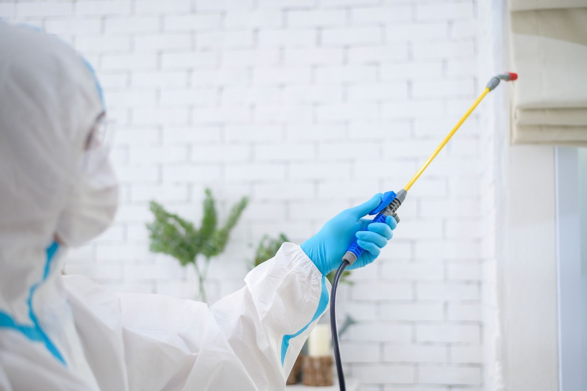 Florida Pest Control Insurance (Free Online Quote)