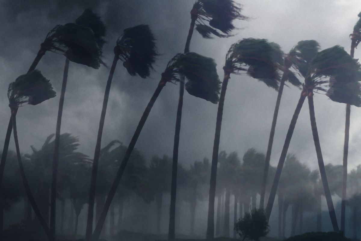How to File a Hurricane Insurance Claim in Florida: 5 Steps
