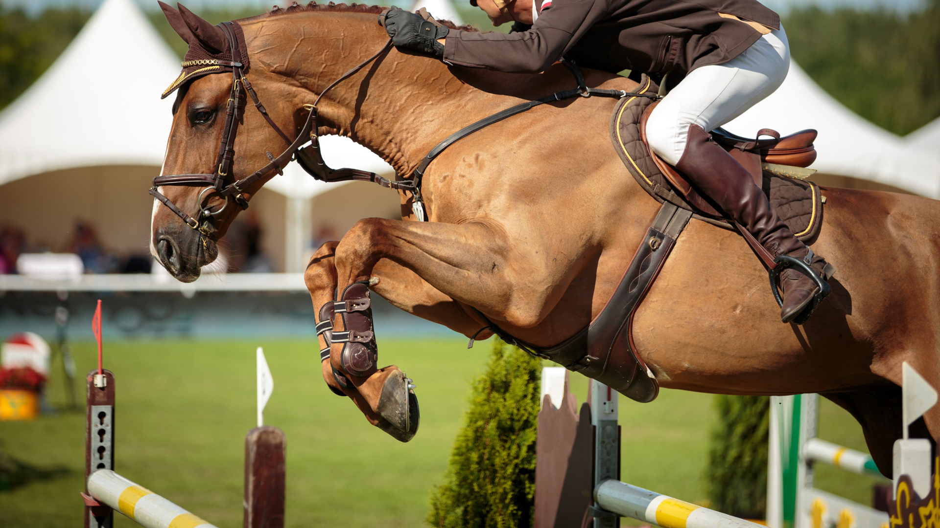 Equestrian Center Sacramento
