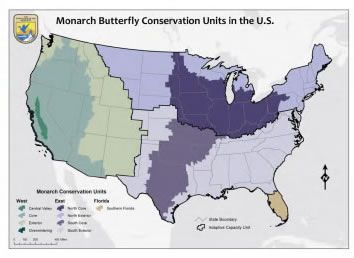 Map of the U.S. showing monarch butterfly conservation units, with different regions highlighted in various colors.