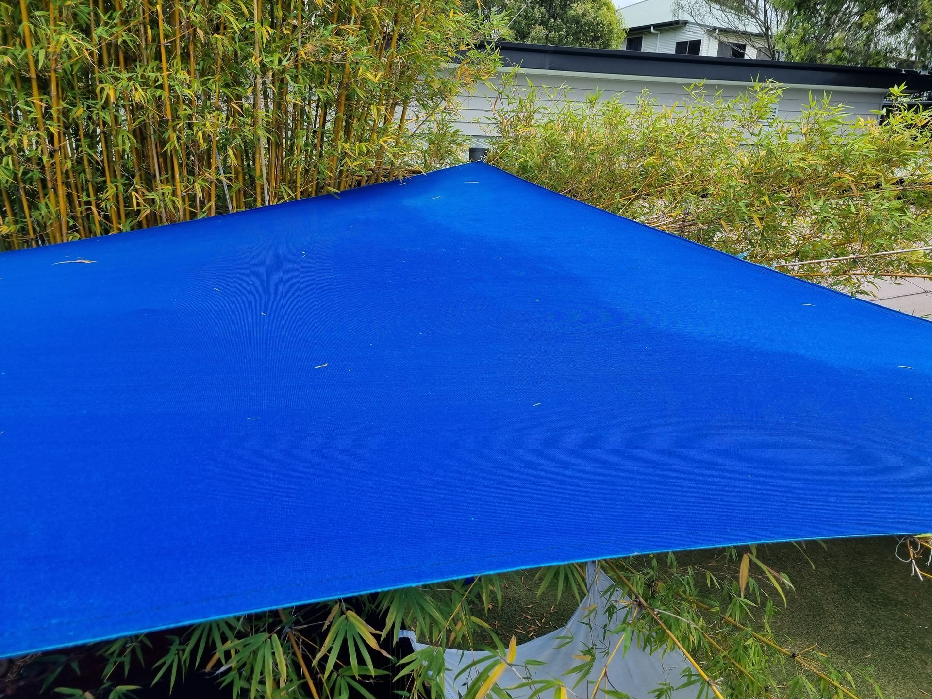A Blue Tarp is Sitting on Top of a Pond Surrounded by Trees — All Clean Pressure Cleaning in Valentine, NSW