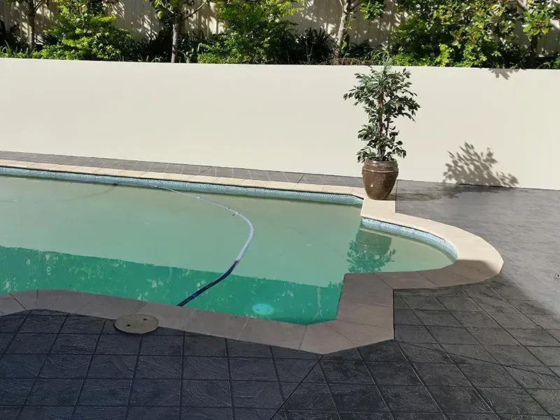 A Swimming Pool With a Plant in the Middle of It — All Clean Pressure Cleaning in Valentine, NSW