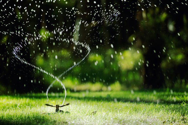 Turf Watering