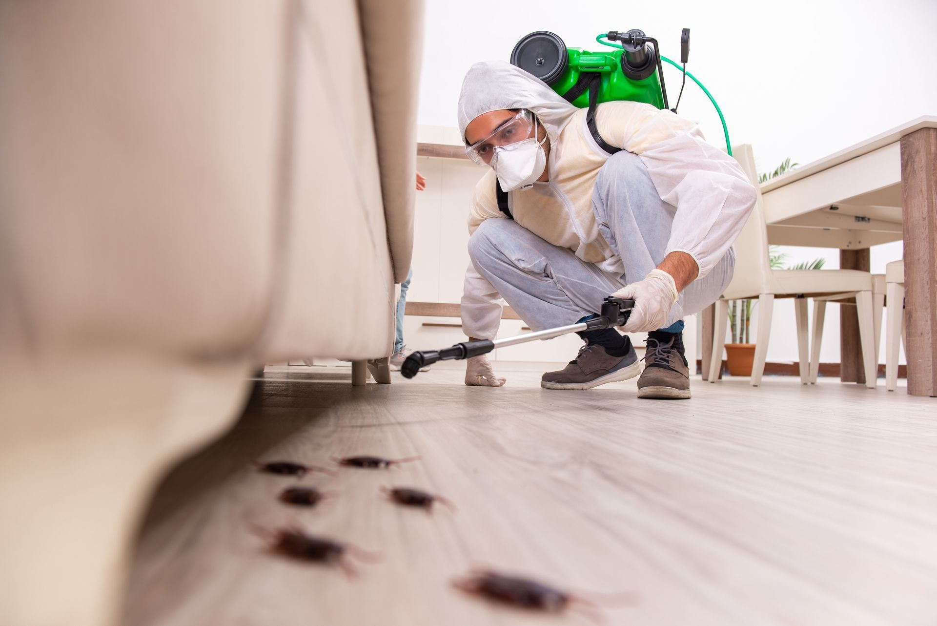 A man is spraying cockroaches in a living room.