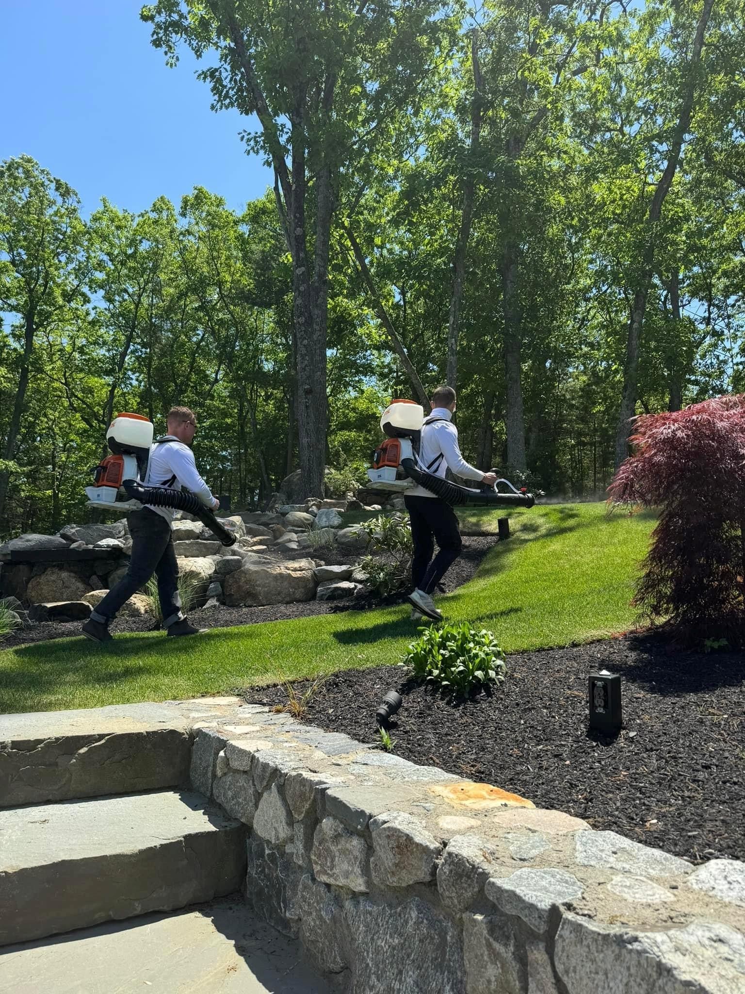 Mosquito 180 Mosquito Control