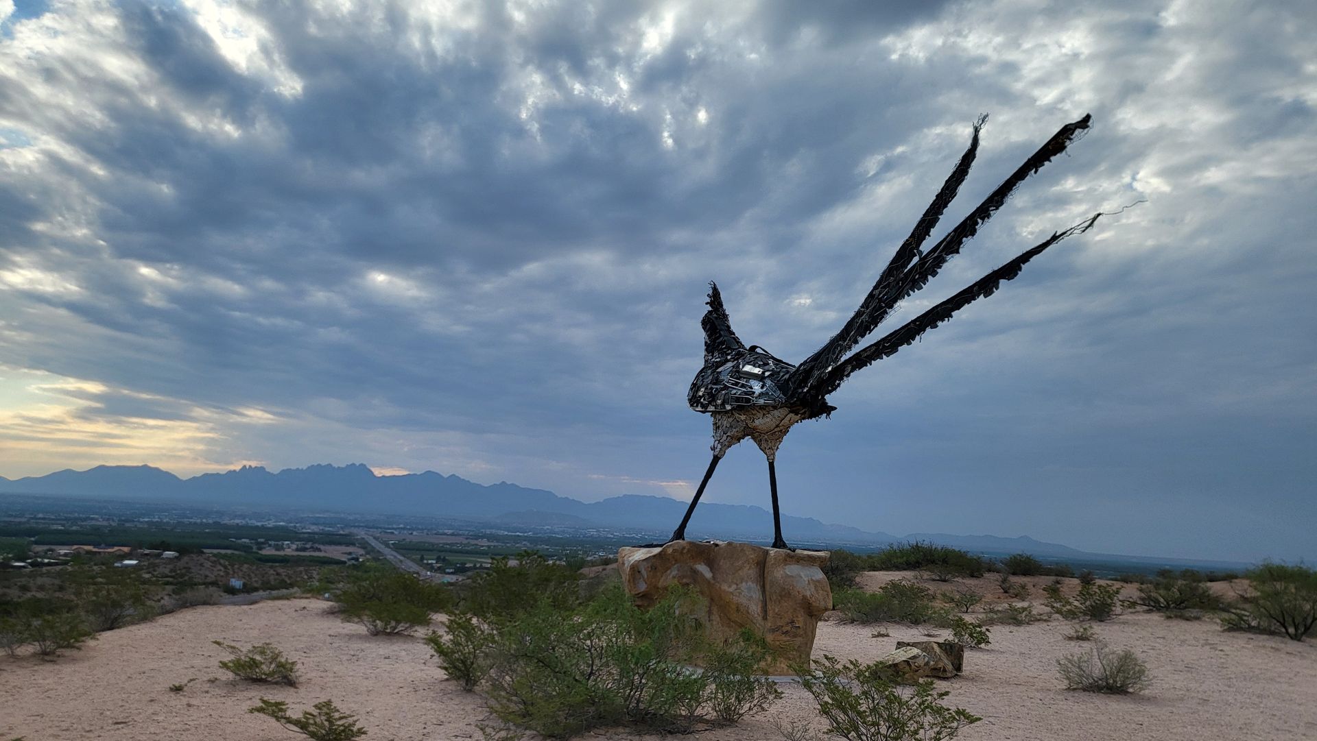 Recycled Road Runner sculpture at the rest stop near Las Cruces, NM, made from recycled materials, showcasing Las Cruces.