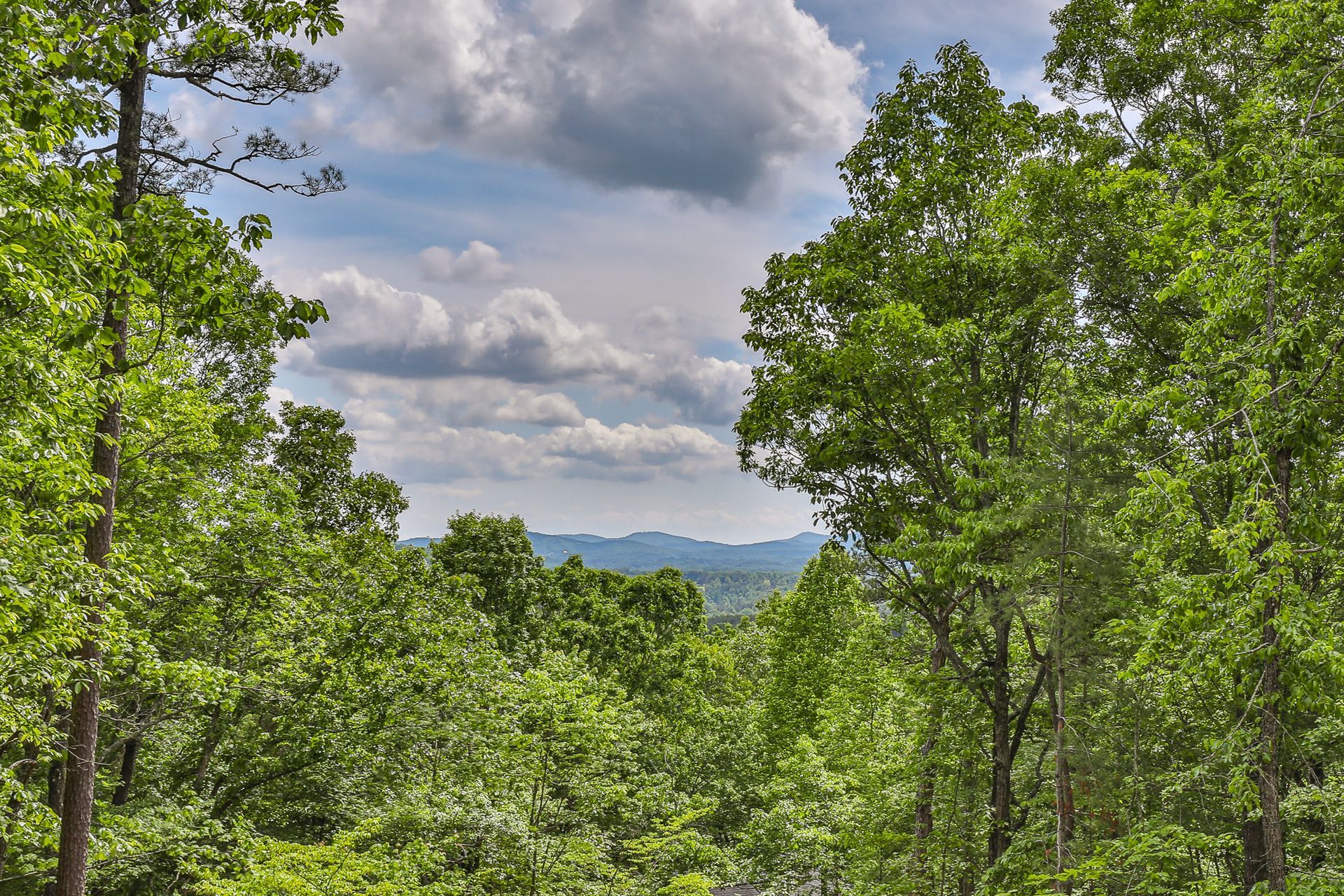 Wolf Creek Builders Gallery Image