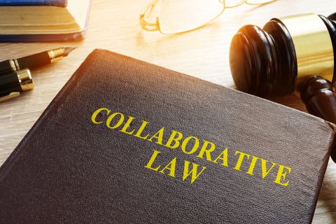 Collaborative Law Book — Richmond, VA — Janet E. Brown PC