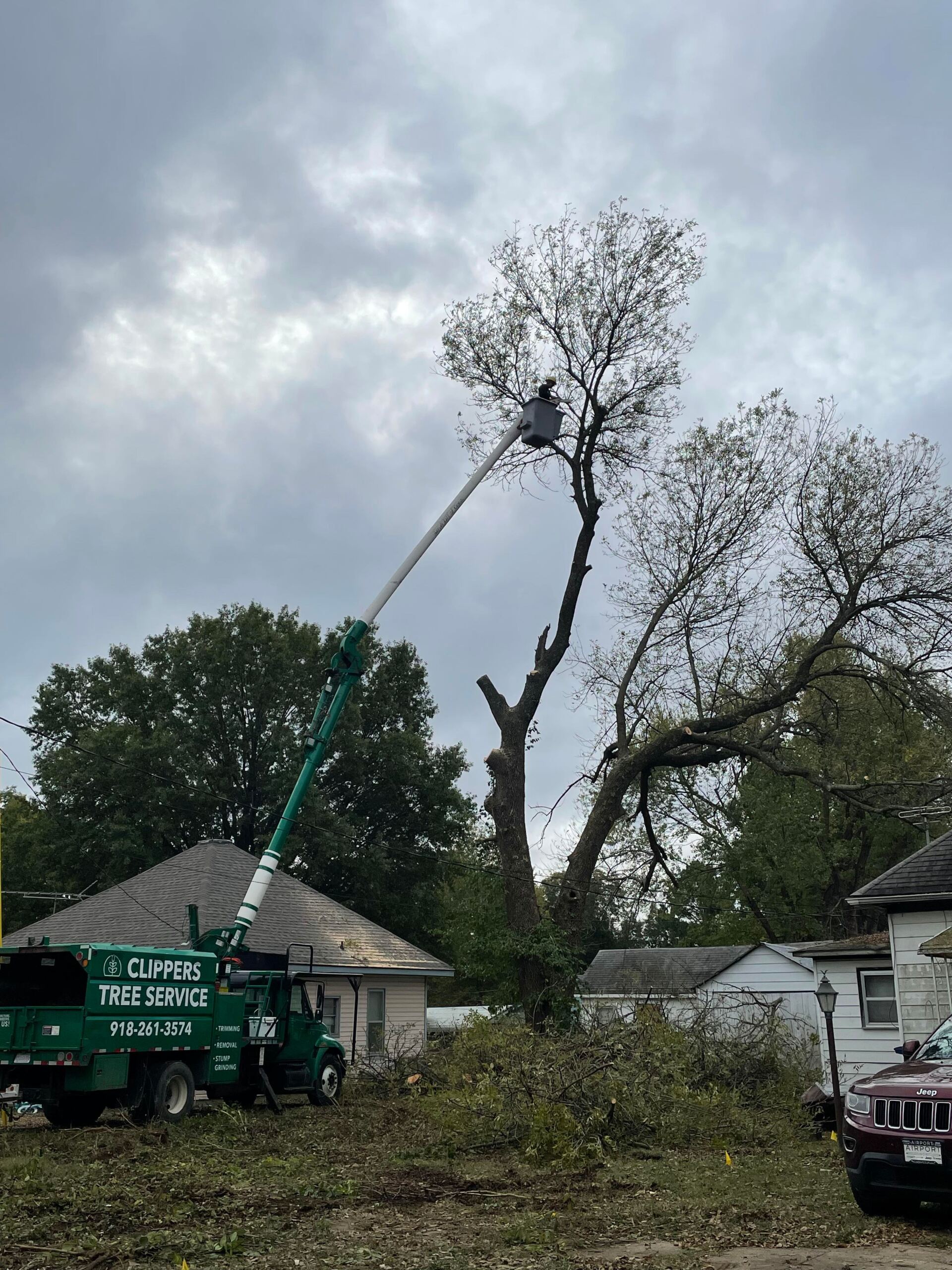 Tree Removal and Trimming | Clippers Tree Service