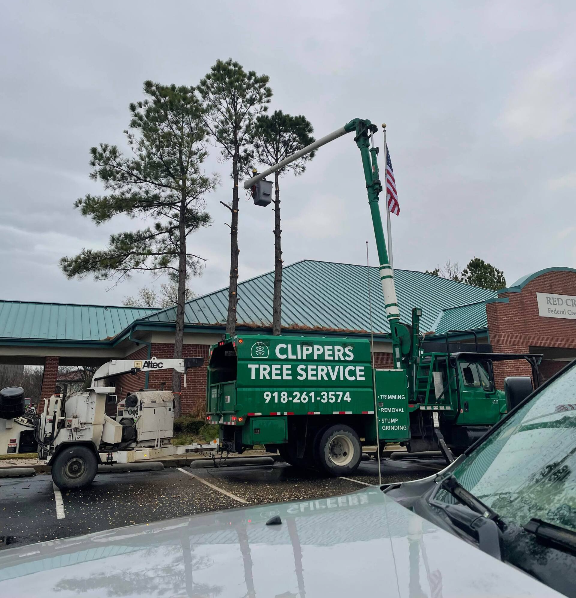 tree lifting