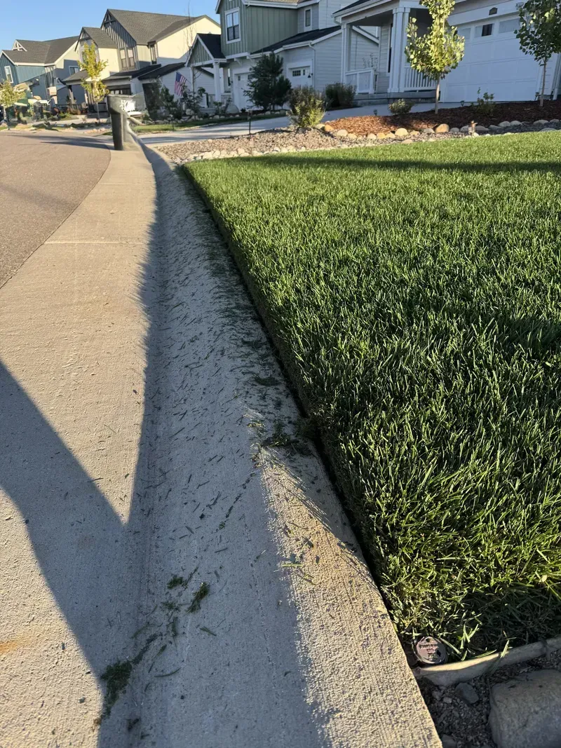 Sidewalk with grass lawn border; neighborhood houses in the background.