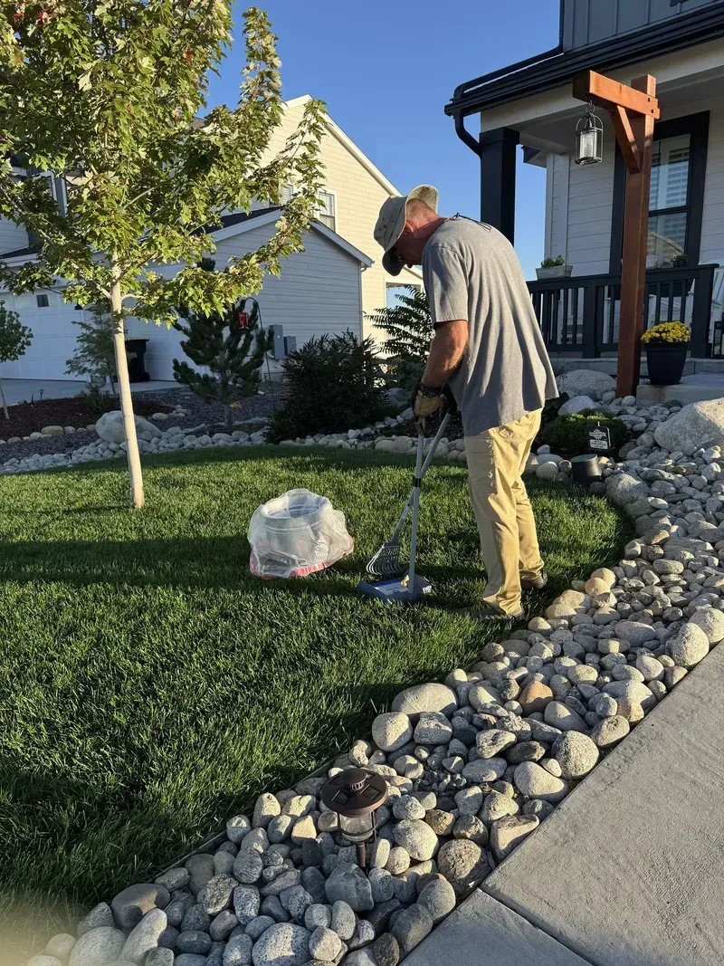 Man using a tool to work on lawn near a rock border. House and trees in background.