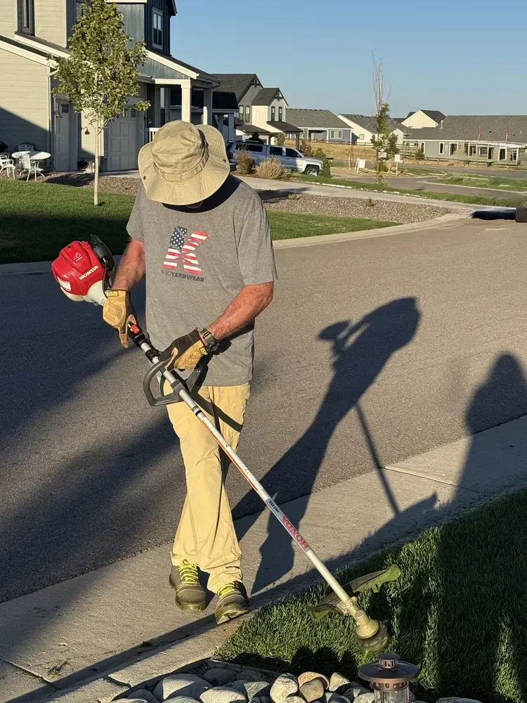Person using a string trimmer to edge a lawn, sunny day.
