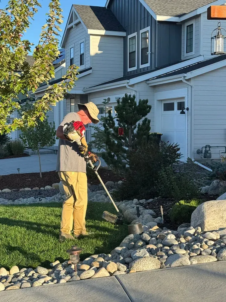 Person using a weed wacker to trim grass near rocks and bushes in front of a house.
