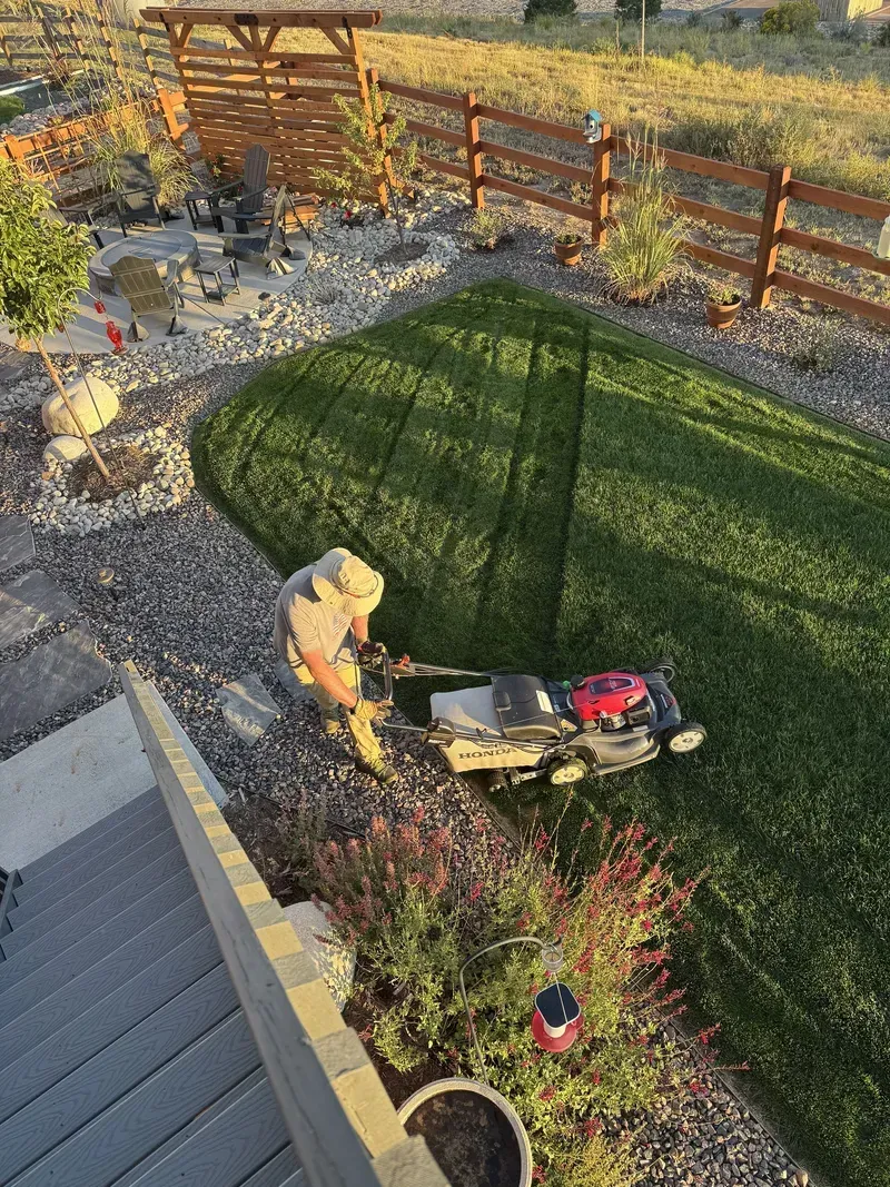 Man mowing a green lawn in a backyard, with a red lawnmower. Brown fence and rocks surround the yard.