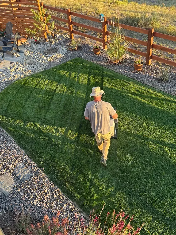 Person mowing a green rectangular lawn bordered by rocks and a wooden fence.