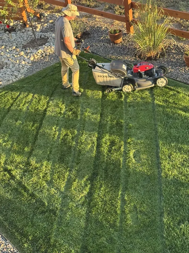 Man mowing a rectangular patch of green grass with a lawnmower, near a fence and rocks.