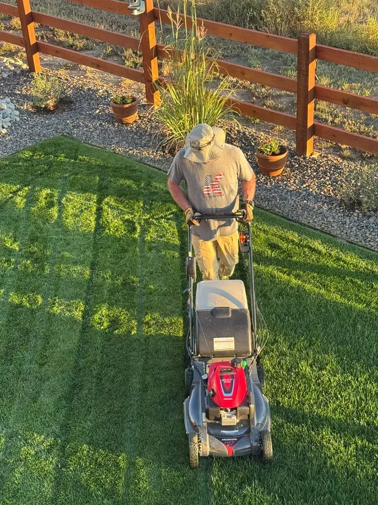 Person mowing a green lawn with a red and black lawnmower in a yard with a wooden fence.