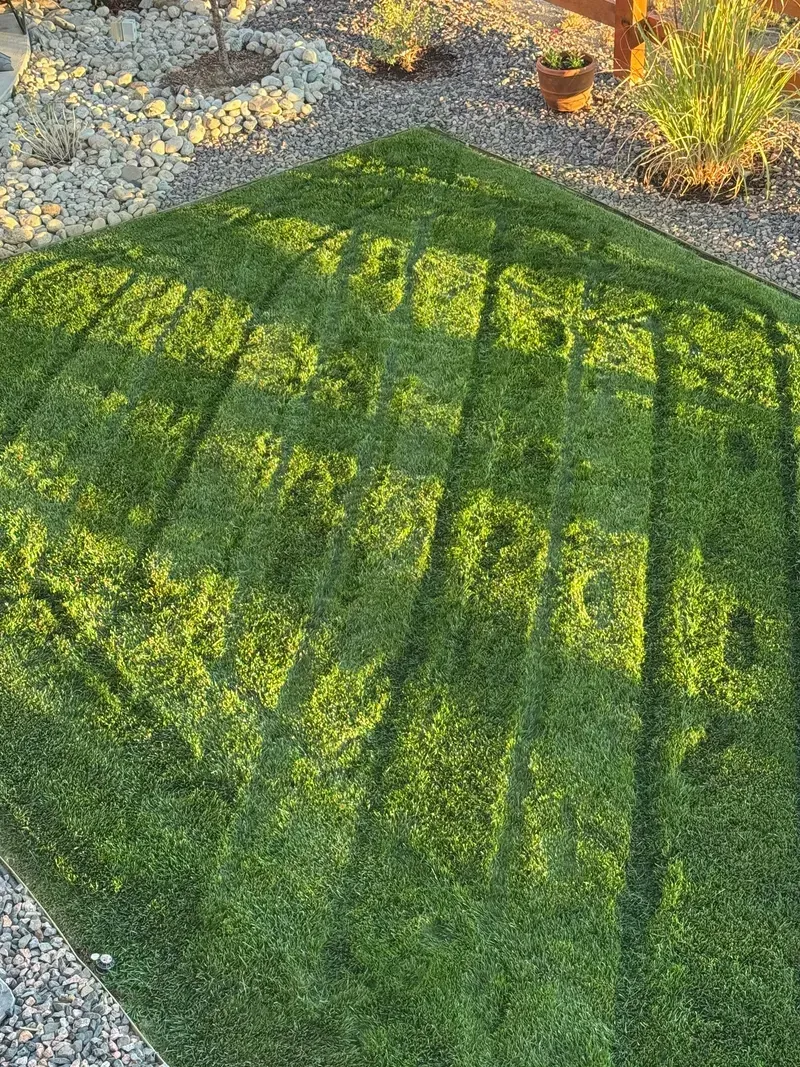 Well-manicured, green lawn with mowing stripes, surrounded by gravel and plants in sunlight.