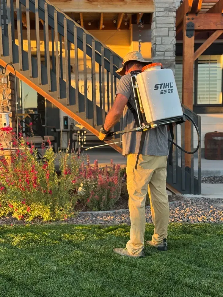 Man spraying lawn with backpack sprayer. Near house, wearing hat, khaki pants, spraying the grass.