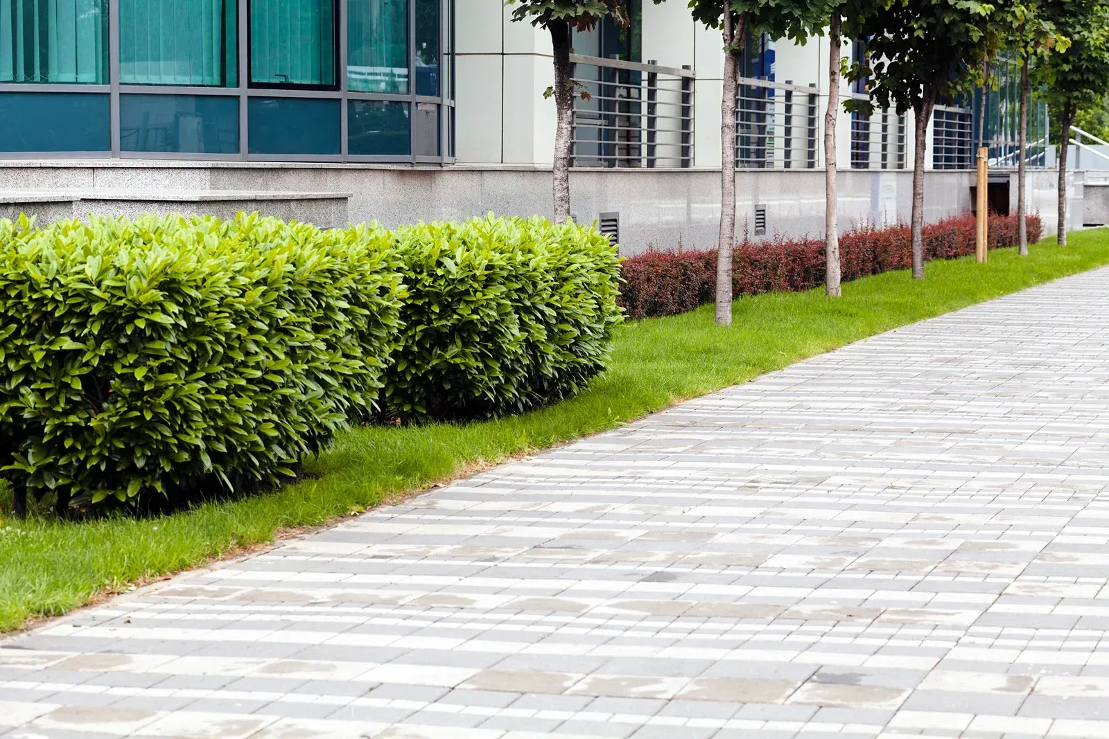 Green bushes and grass border a brick pathway beside a building with trees.
