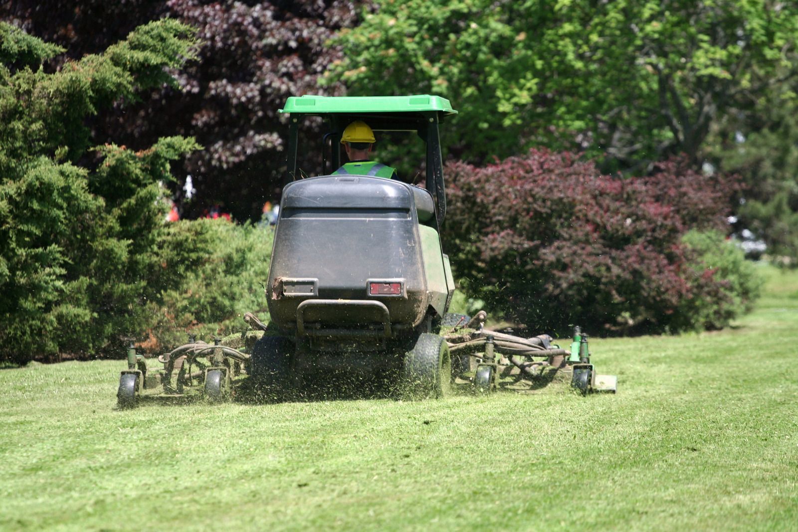 Person driving a green riding lawn mower, cutting grass near bushes.