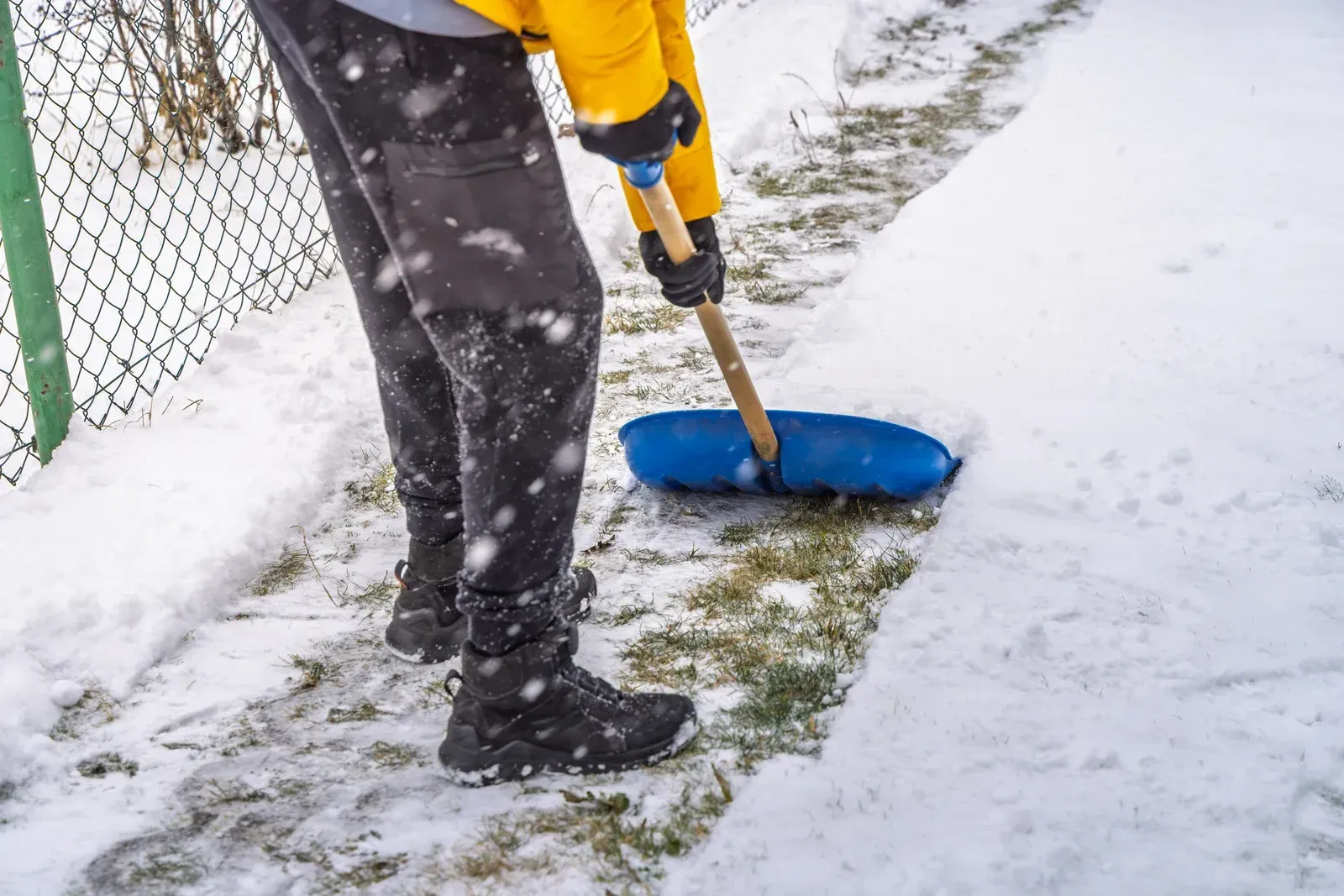 Person in yellow jacket shoveling snow from a walkway with a blue shovel. Snow is falling.