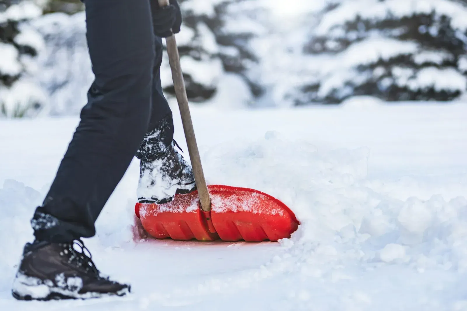 Person shoveling snow with a red shovel; winter scene.