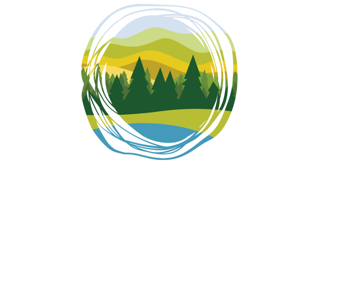 Milestone Decisions Logo