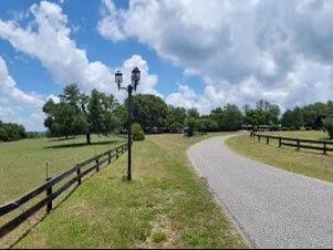 A dirt road going through a grassy field with a wooden fence.