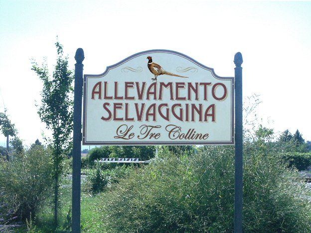 cartelli vintage personalizzati