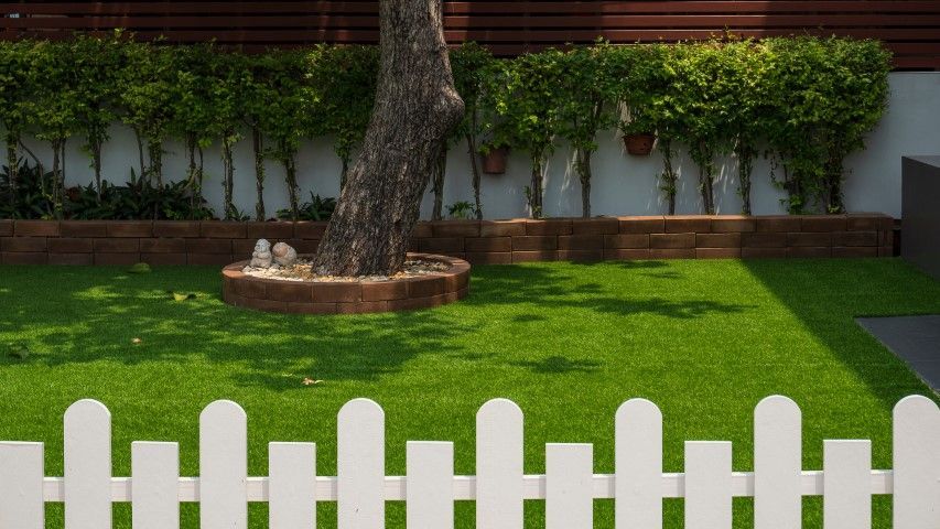 A white picket fence borders a green lawn with a tree in a brick planter, set against a white wall with hanging plants.