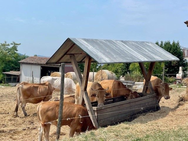 fattoria vicino alla residenza per anziani Sant'Alberto a Pavia