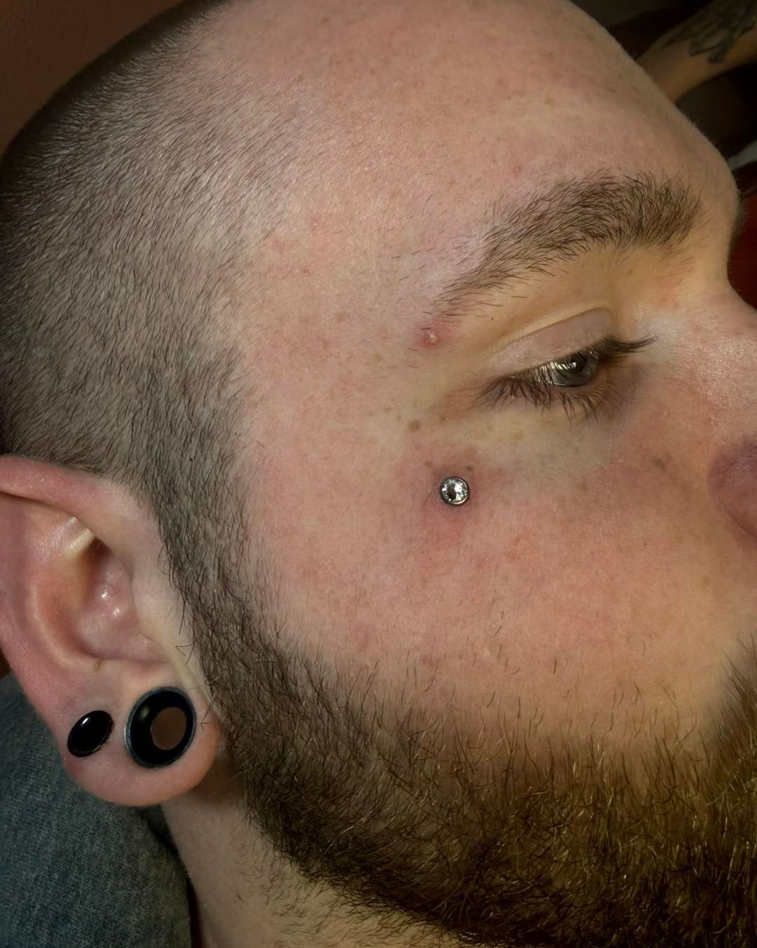 Close-up of a bearded person with facial piercings and black ear gauges, looking to the side.