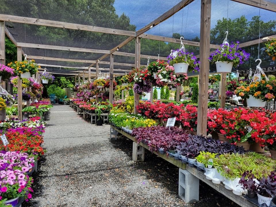 VA Greenhouse TA London Bridge - Virginia Beach, VA - Nursery