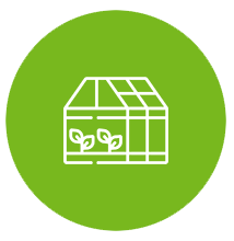Greenhouse icon