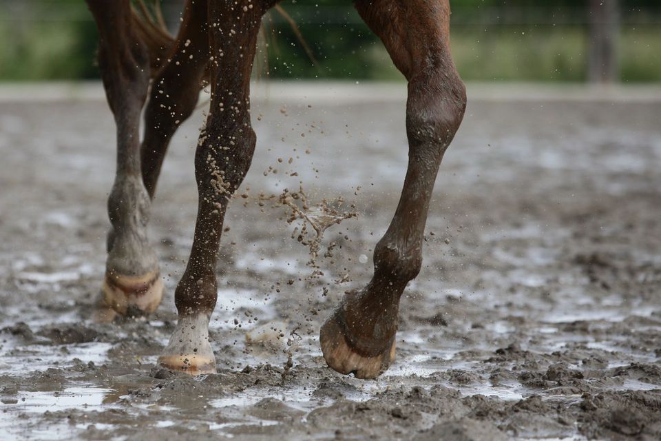 Welcome to Grid as New, Mud Control Grids where we make mud a memory ...