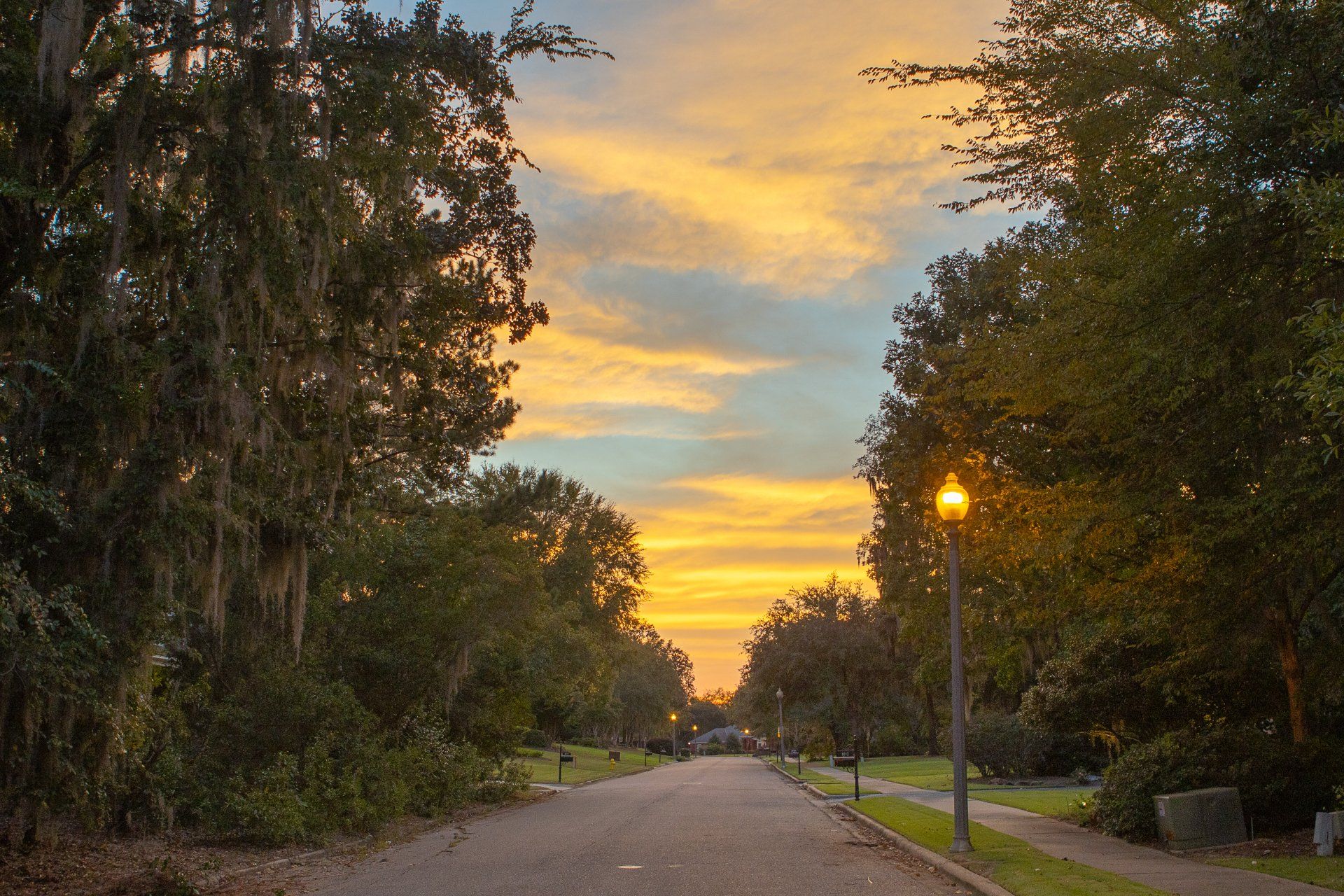 Eastern Forest HOA Sunset View