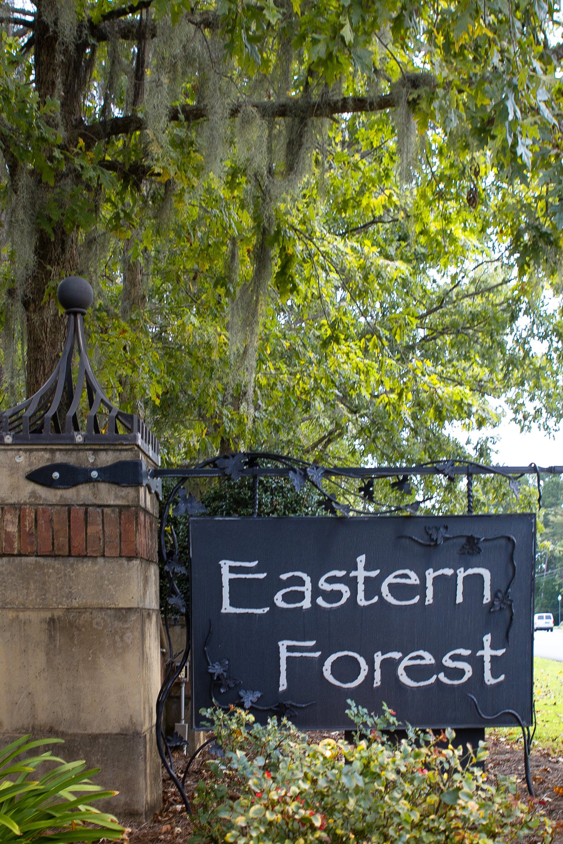 Welcome to Eastern Forest