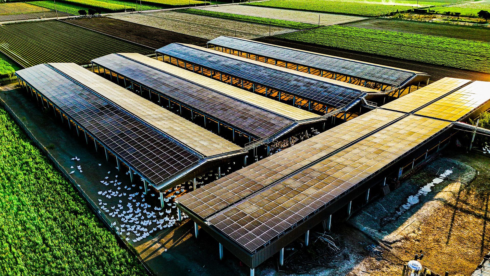 晴陽能源太陽能