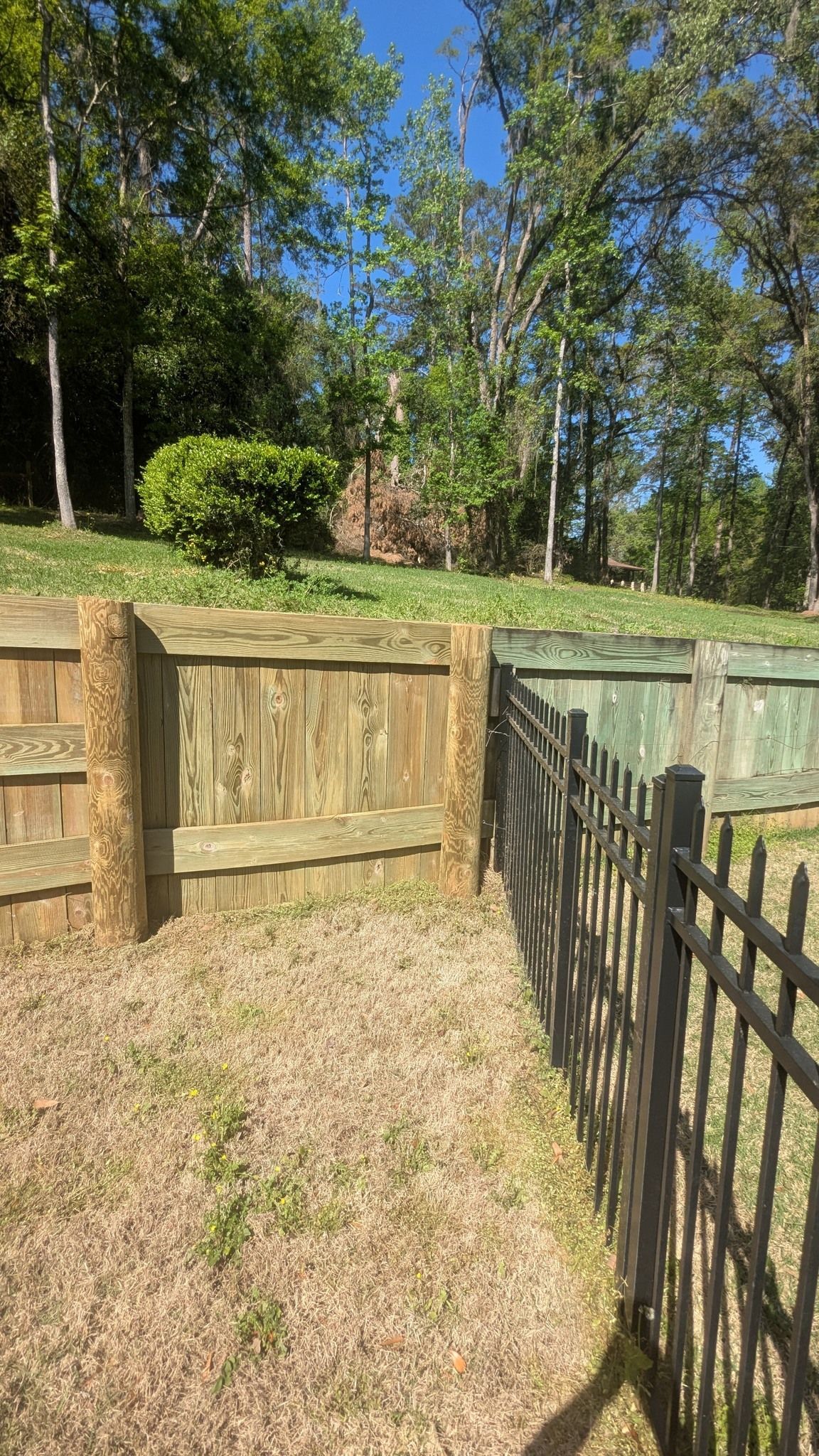 A wooden fence with metal fence. Trees in the background. Sunny day.