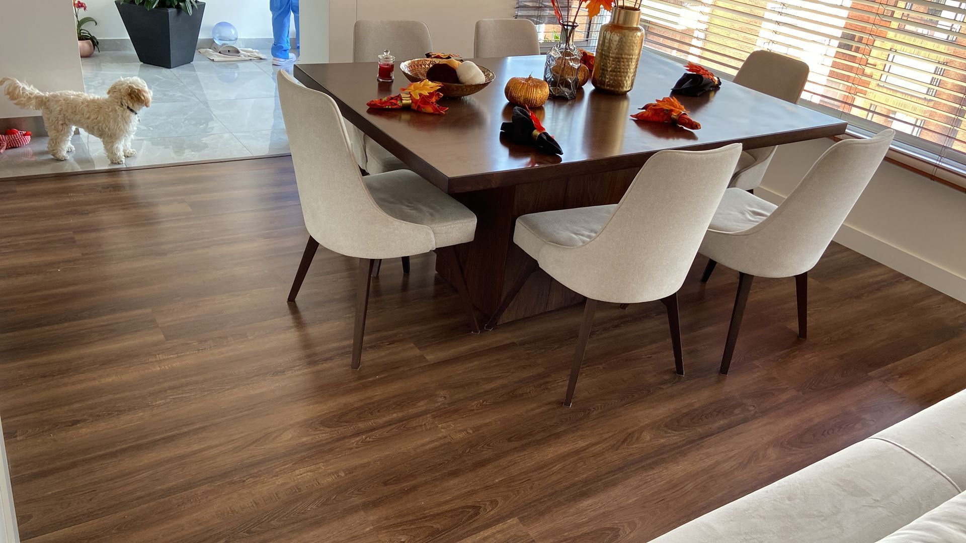 Mesa de comedor de madera con cuatro sillas blancas, decoraciones otoñales y un perro.